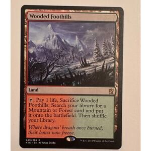 MTG Wooded Foothills Magic The Gathering 2014 249/269 NM